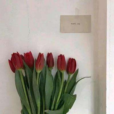 lol外围购买网站